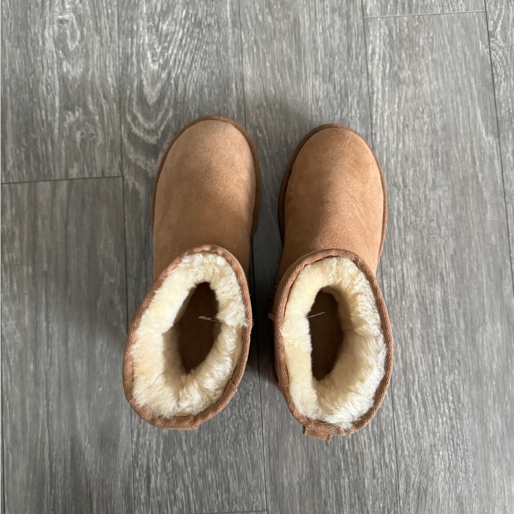 UGG Chestnut Mini Boots - Picture 4 of 16